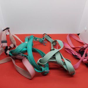 lot of 4 harnesses and a costume